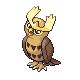 Noctowl