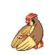 Pidgeotto