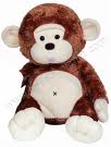 pa singe 