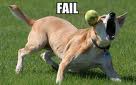 Fail dog
