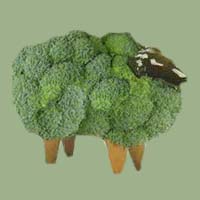 Chia Sheep