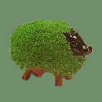 Chia Cow