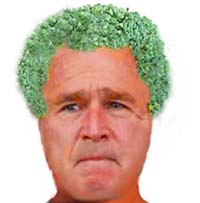 Chia George Bush