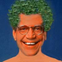 Chia Letterman