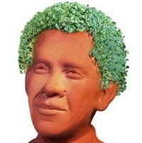 Chia Obama