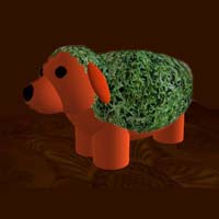 Chia Dog