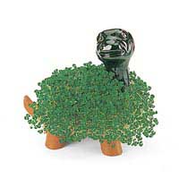 Chia Turtle