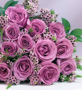 Violet rose