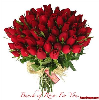 Red roses