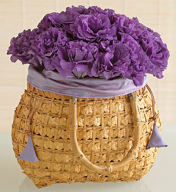 Purple roses 