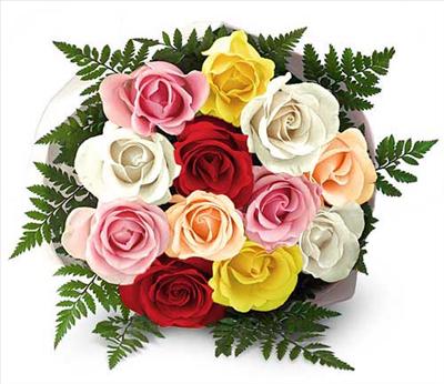 Colourfull roses