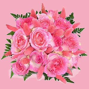 Pink roses