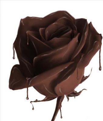 choco rose