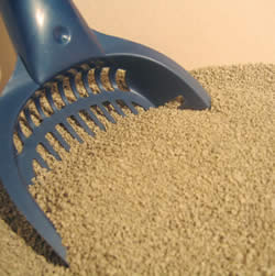 kitty litter
