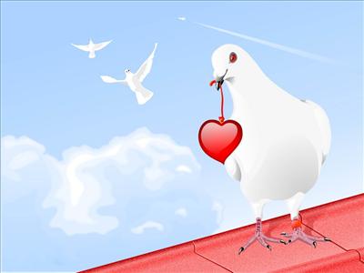 Dove With Heart