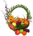 Fruits and Flowers