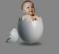 baby egg