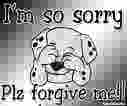 Im sorry