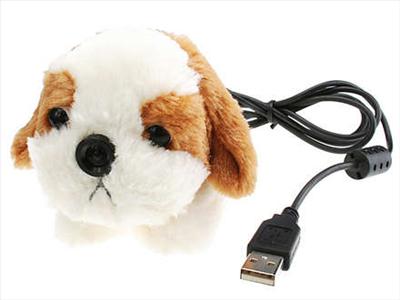 köpek
