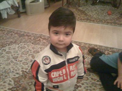 bebek