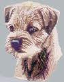 Drawn BT