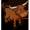 Longhorn Cow