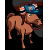 Horse Spectator