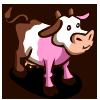 Neapolitan Cow