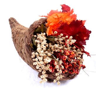 Cornucipia