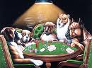 Executive Meeting or Poker Game