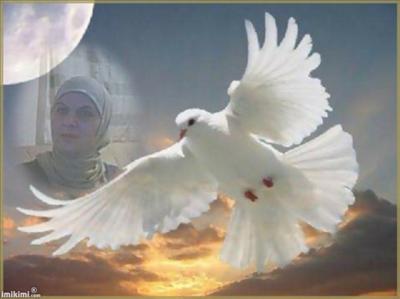 BEN KİM MİYİM ?……Duymasını Bilene SES…….Çekmesini Bilene NEFES……. Gitmesini Bilene HEDEFİM…….Değerimi Bilene SEDEF……..Görmesini Bilene HUZUR…… Yaşamasını Bilene HAYAT….. Sevmesini Bilene YÜREK……. Sulamasını Bilene ÇİÇEK…..Yüreğini Sunmasını bilene KIYMET…….Savaşmasını Bilene ZAFER´im…………………. Ben Yürekliyim… Yüreğimin ...Karşılığında YÜREK İsterim…………….