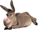 És burro