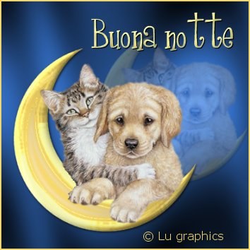 Buona notte