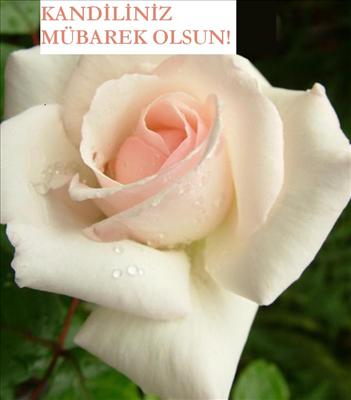 Yağmur yüklü bulutlar gibi gelen, eteğindeki hayır cevherlerini başımıza boşaltan ve bizlere mutluluk veren kandilin,büyüsüne kapılmanız dileğiyle. Nice kandiller.