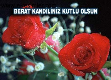 Barış ve sevginin birleştiği, dostlukların daha çok büyüdüğü, hüzünlerin azaldığı, belki durgun belki yorgun, yinede mutlu ve umutlu nice hayırlı kandillere.