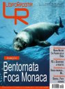 Bentornata Foca Monaca