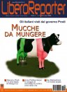 Mucche da Mungere