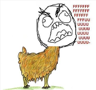 Angry Llama