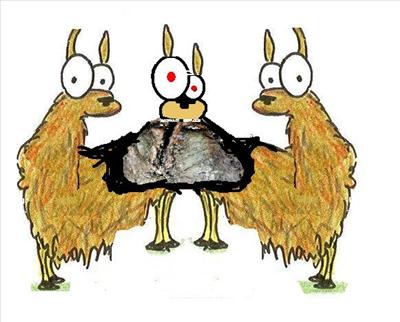 Infected Llama
