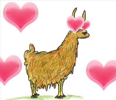 Loving Llama