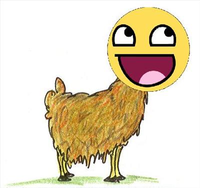 Awesome Llama