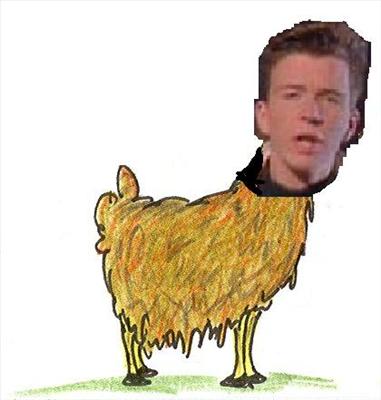 Llama Rolled