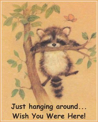 Just Hanging aroung! Wish You We're Here!