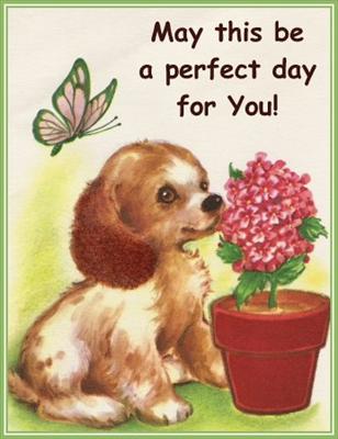 May this be a perfect day for you