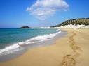 the beach
