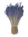 Dried lavender