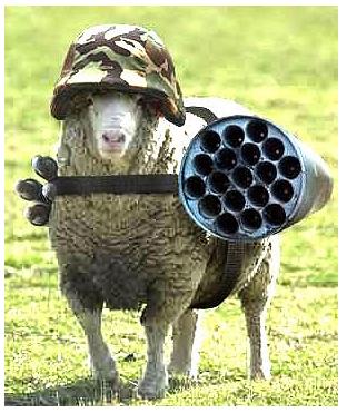 secret weapon