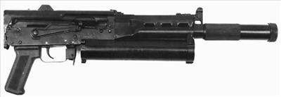 Bizon 2