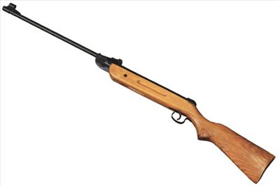 Air Rifle