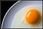 egg